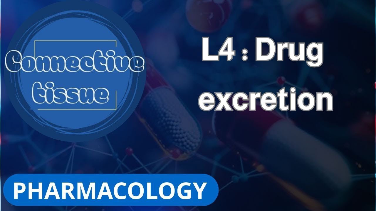 L4:Excretion 