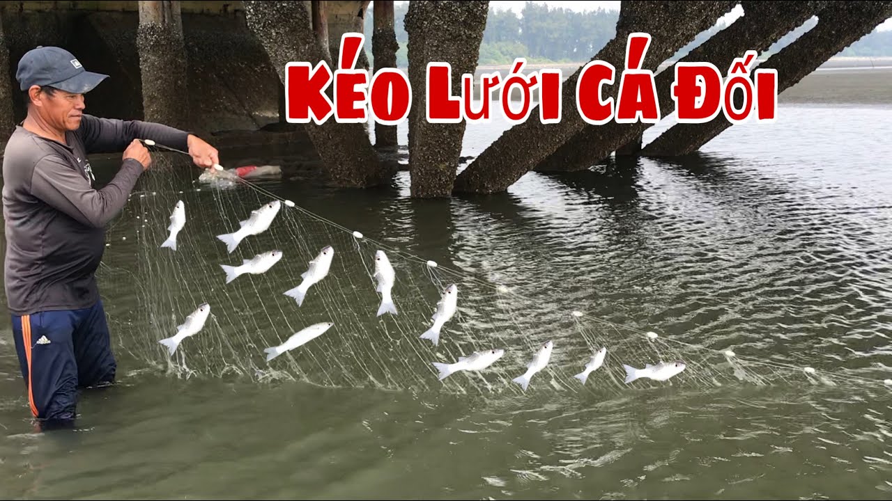 Theo Cậu 2 Đi Giăng Lưới Cá Đối Ở Cần Giờ Và Cái Kết- Nguyễn Ngọc Kiều