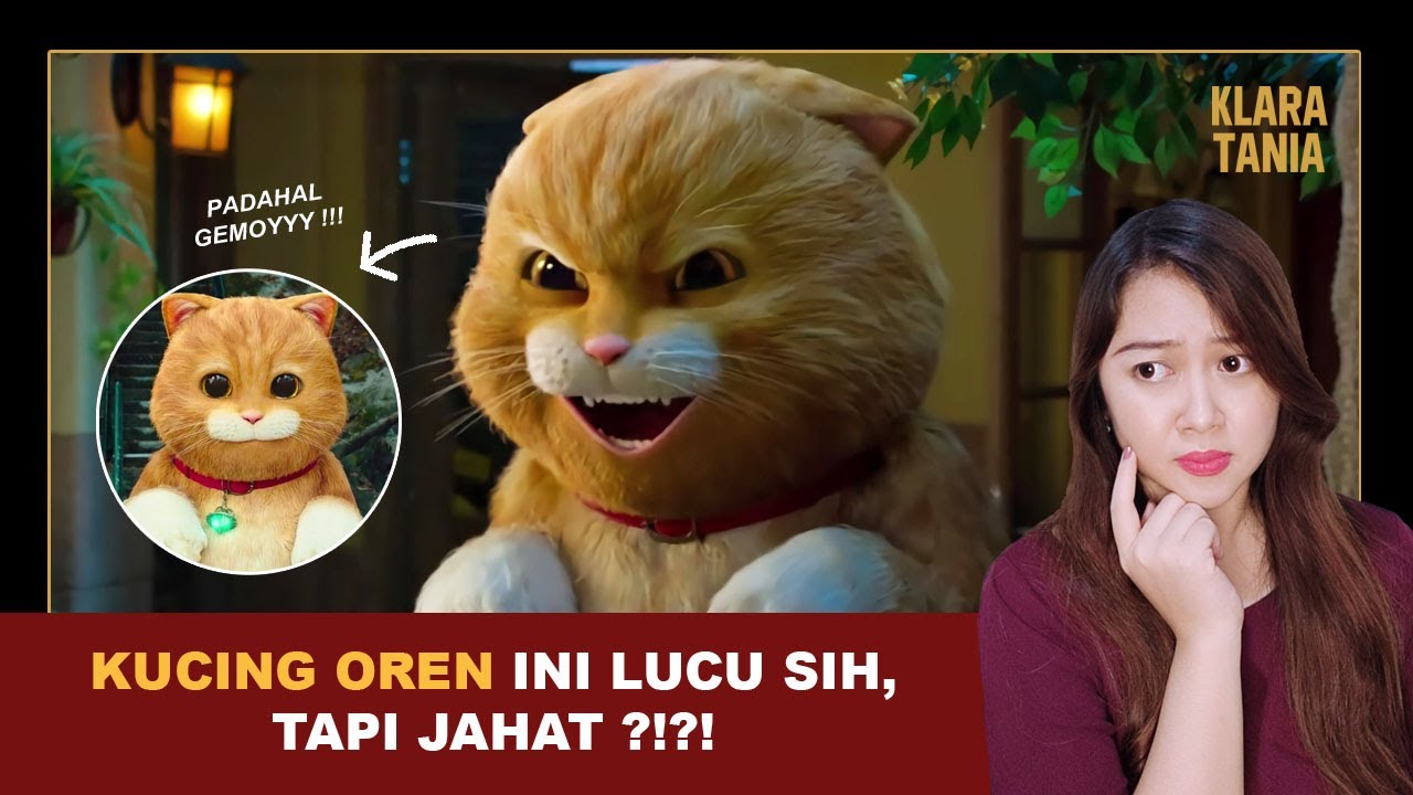 KUCING OREN INI MAU MENGUASAI BUMI ?!?! | Alur Cerita Film oleh Klara Tania
