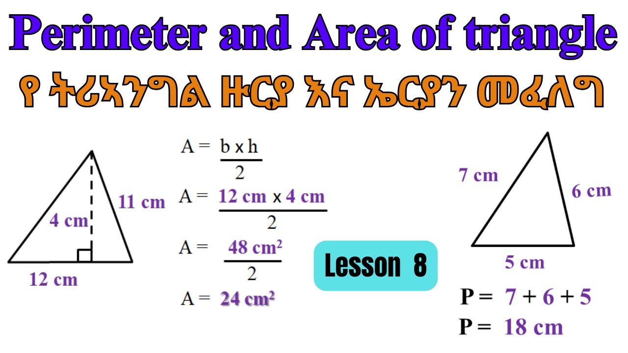 Geometry LESSON 8 : How to calculate Perimeter and Area of triangle | የ ትሪኣንግል ዙርያ እና ኤርያን መፈለግ
