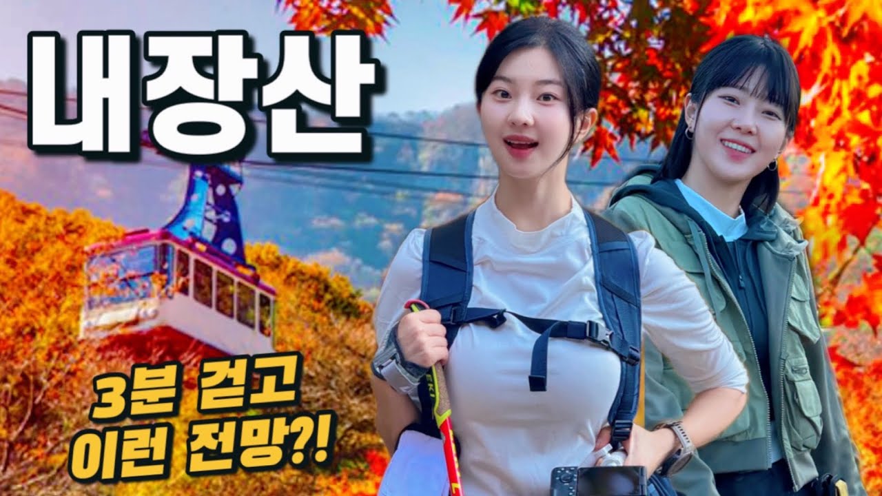 🍁3분 걷고 즐기는 대한민국 단풍 원탑 | 안 가보면 모르는 꿀팁가득 🔥 | 내장산