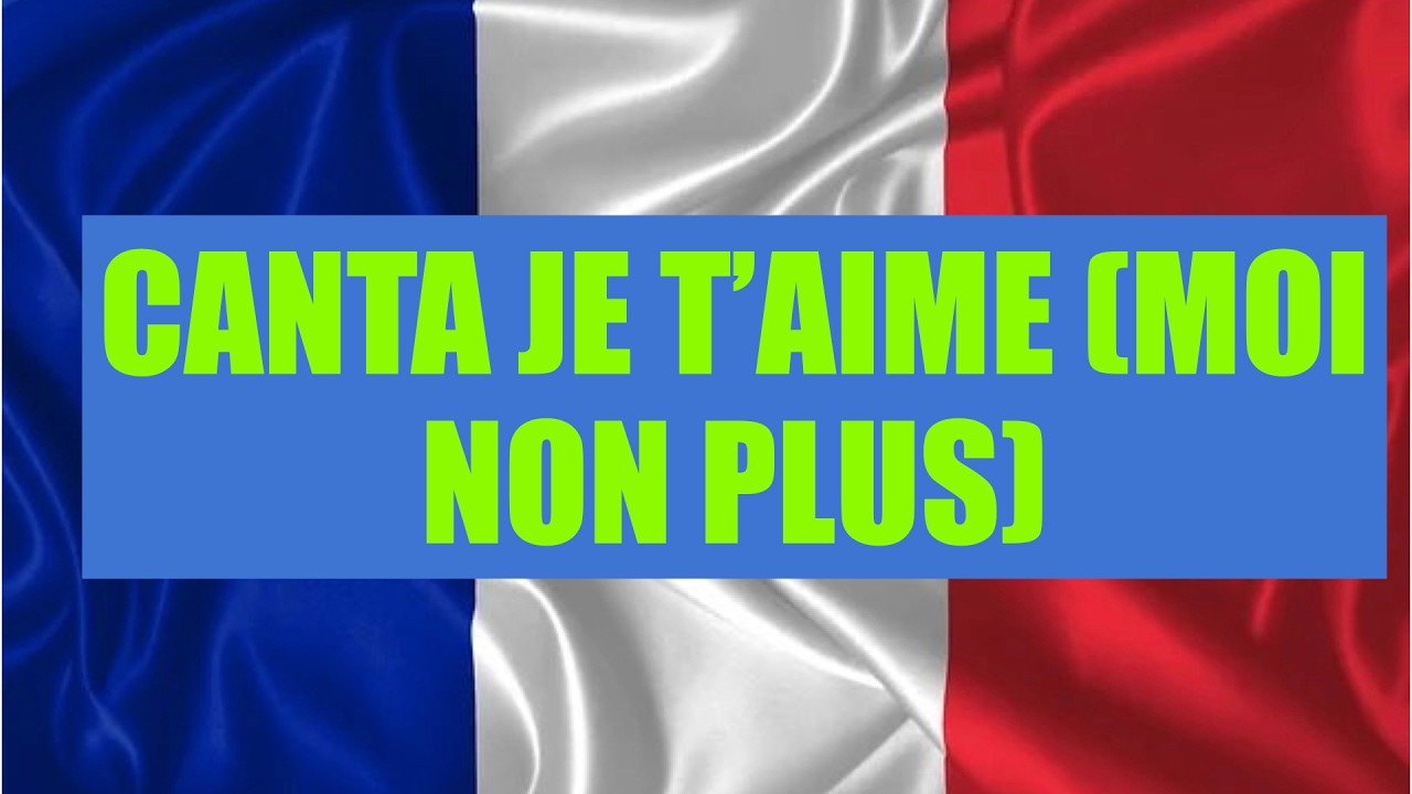 APRENDE FRANCES CANTANDO: JE T'AIME (MOI NON PLUS)  (LETRA Y TRADUCCION)