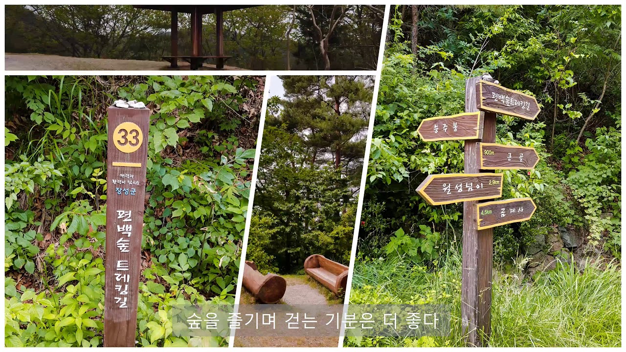 가고싶은산 병풍산편백숲트레킹 길 2구간