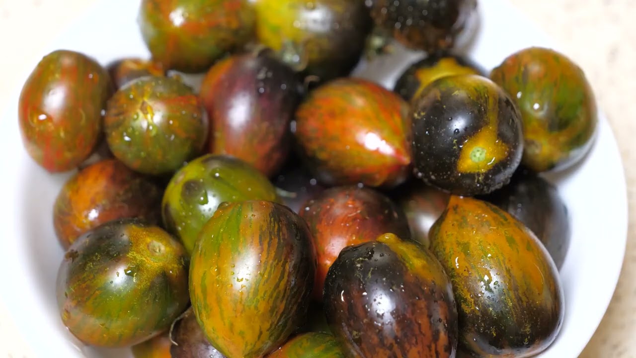 Brad's Atomic Grape Tomato Review