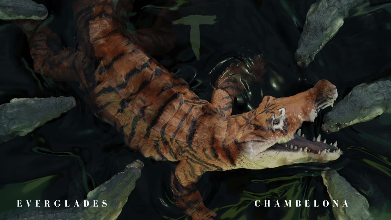 El Taiger , Insuchavia Ar15, Chacal  , Baby Lores - Chambelona (Audio Oficial)