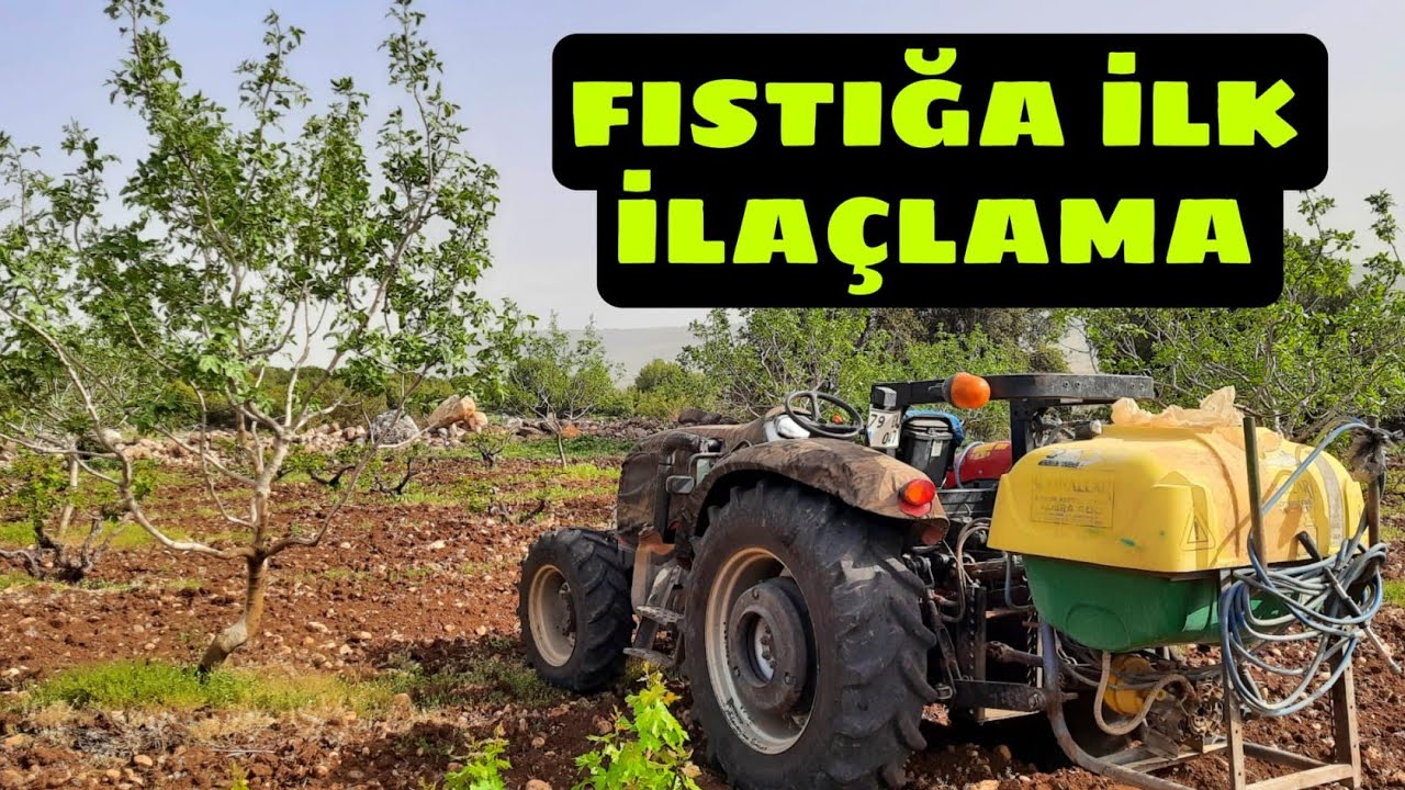 ANTEP FISTIĞINA KARA ZENK,YAPRAK PİSİLASI ve YAPRAK GÜBRESİ İLAÇLAMASI...