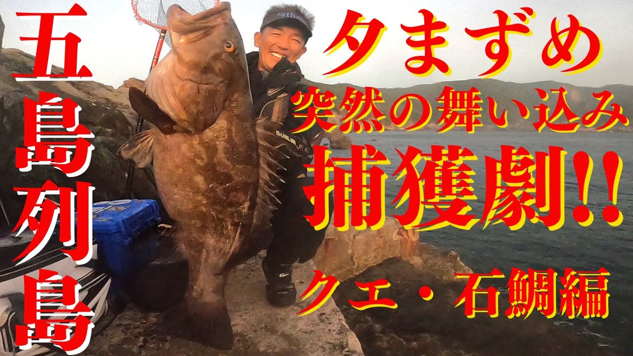 【五島列島】突然の舞い込み❕底物　クエ、石鯛捕獲劇❕　5000人突破記念プレゼント企画