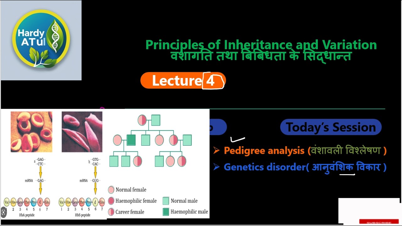 NCERT|BIHAR BOARD|UP BOARD|Principal and variation| Pedigree analysis| Haemophilia|Colourblindness