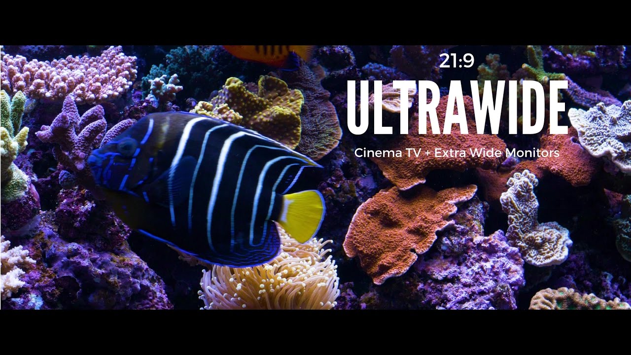 Ultrawide Screensaver for Windows 10 + 11 on 21:9 ultra wide monitors; Aquarium Video UHD, $5+.