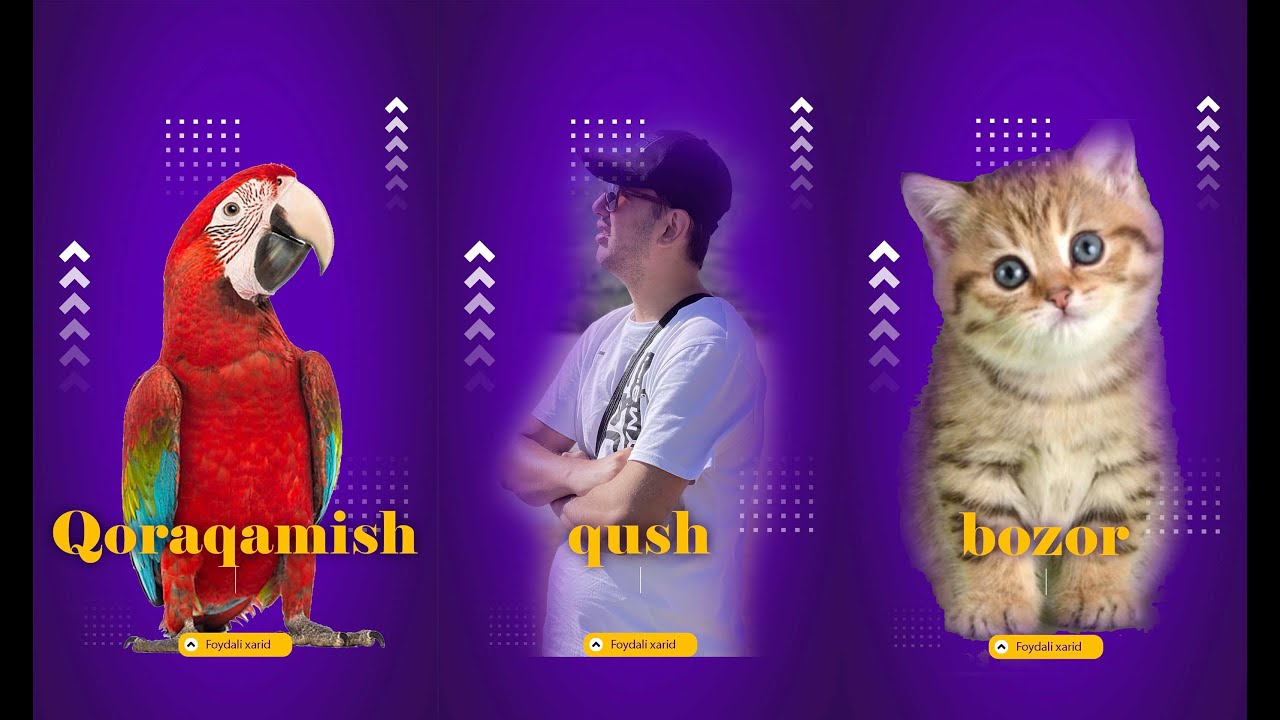 Qora Qamish Qush bozori  Қора Қамиш Қуш бозори