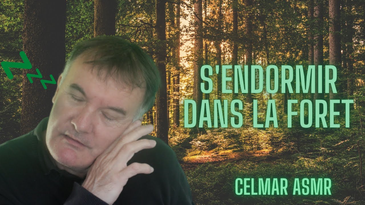 S'endormir dans la forêt   ASMR