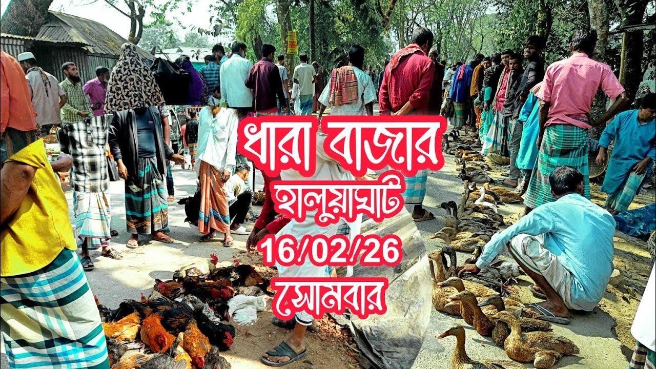 রমজানের আগে হাঁস মুরগি ধারা বাজার কেমন Duck & Hen market price 