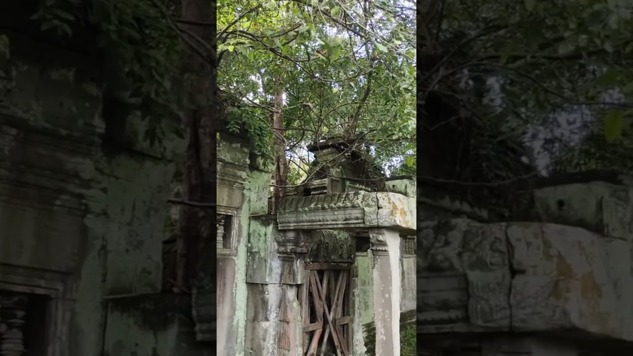 This place is wonderful and beautiful I loved #nature #music #travel #history #cambodia