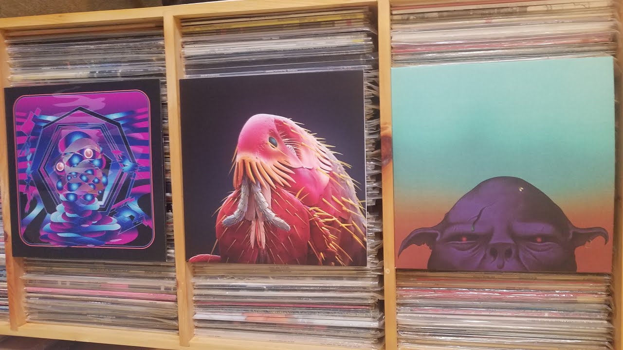 Thee Oh Sees  Vinyl Record Collection Part 1 (The Ohsees, Oh Sees, Osees  OCS, John Dwyer) LP Album