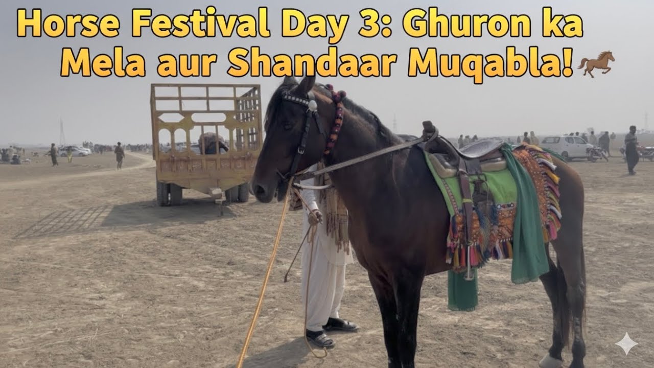 Horse Festival Day 3: Ghuron ka Mela aur Shandaar Muqabla! 🐎✨