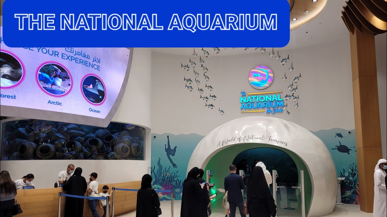 The National Aquarium Abu Dhabi | exploring complete tour (Oct 12) 🇦🇪