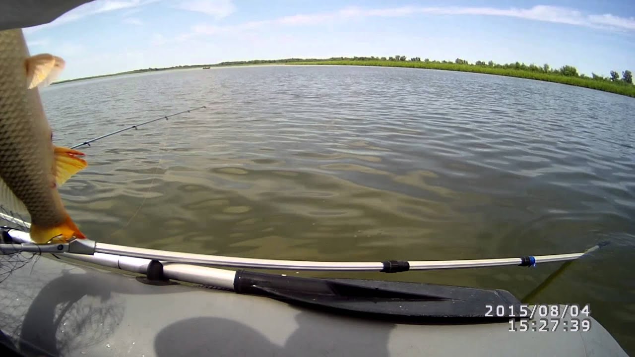 Волга Никольское Сазан