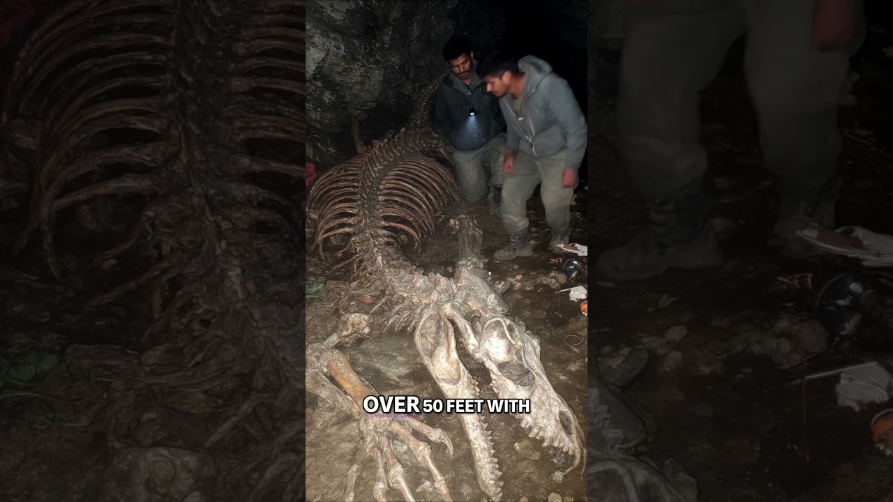 Ancient Dragon Skeleton Found in Hidden Cave in Nepal