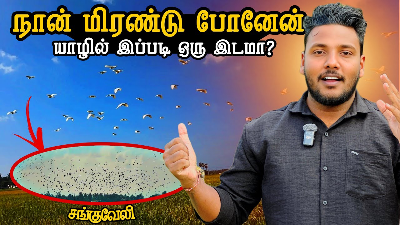 நான் மிரண்டு போனேன் 😳 | யாழில் இப்படி ஒரு இடமா? | Sanguvely | Pavaneesan
