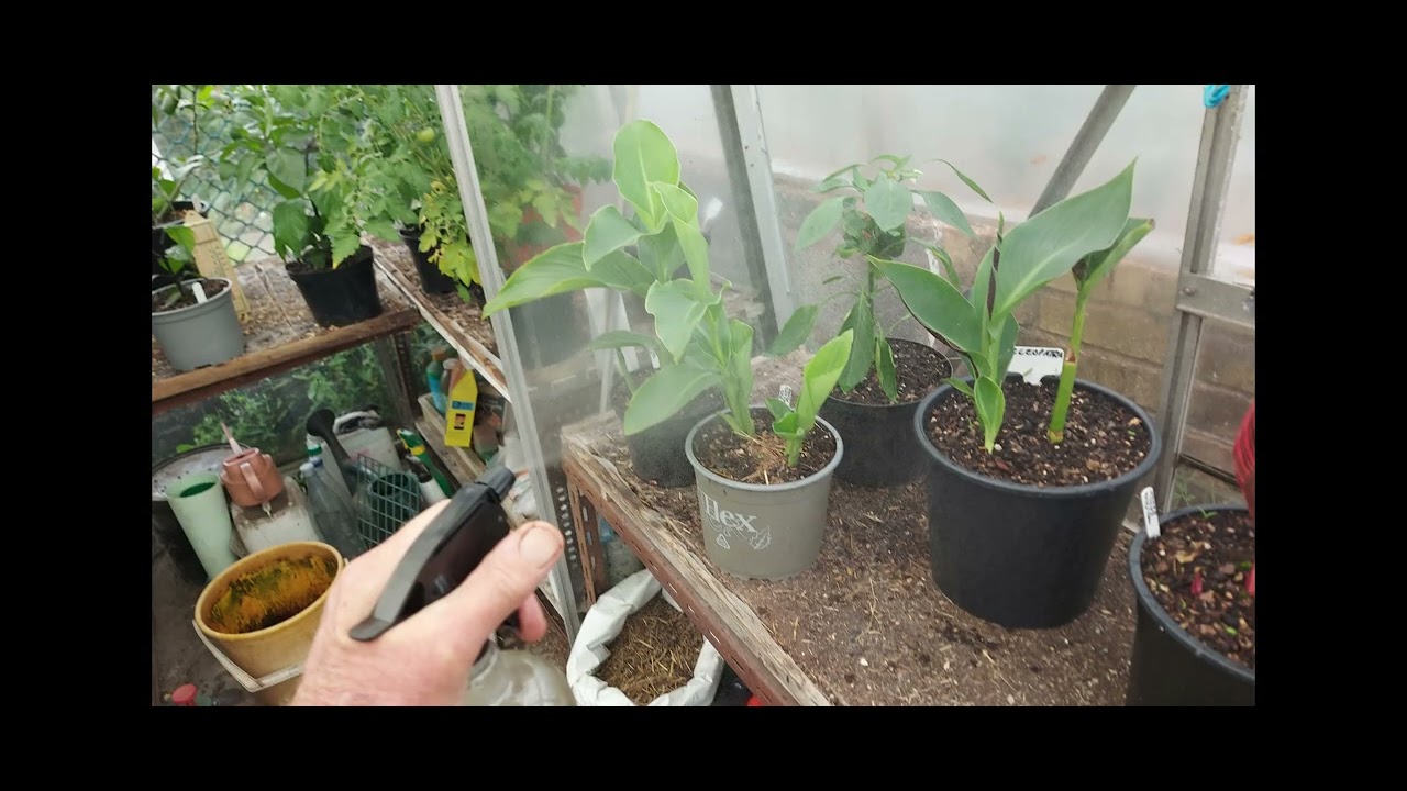 Rock dust as a foliar feed ......