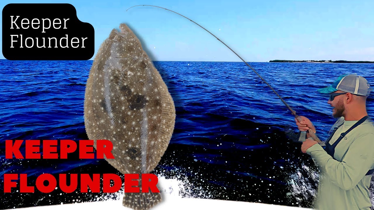 Keeper Flounder Caught in Clearwater