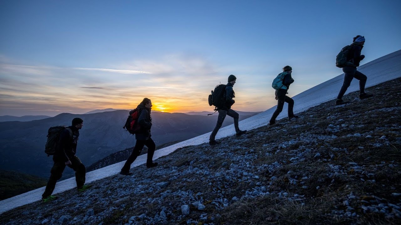 Discover Rewilding Training Tourism | A comprehensive rewilding training for you and your business