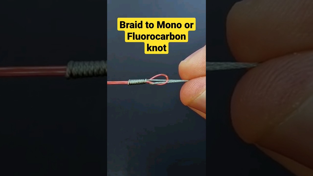The Albright Knot for Braid to Mono or Fluorocarbon