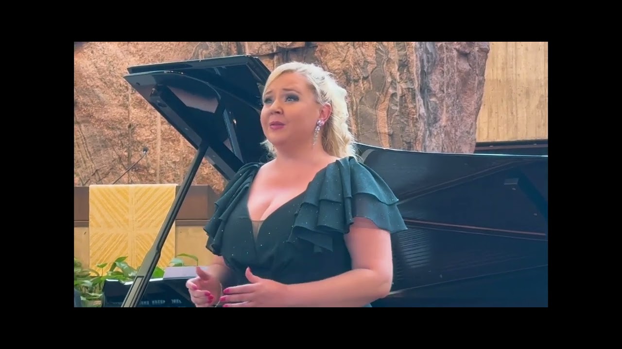 Vain pieni kansanlaulu - Sanna Matinniemi