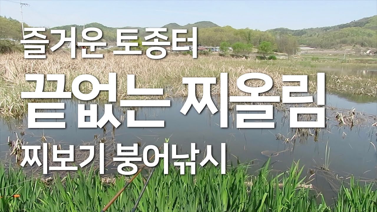 토종터 끝없는 찌올림 l 찌보기 붕어낚시 ㅣ 물가에선나무 붕어 낚시 동영상 방송 채널