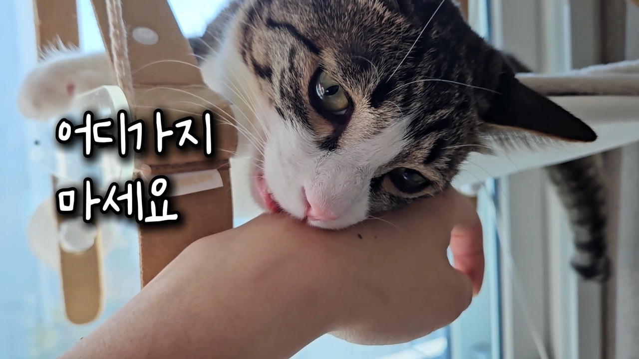 졸졸 따라다니면서 다 궁금해하는 중...