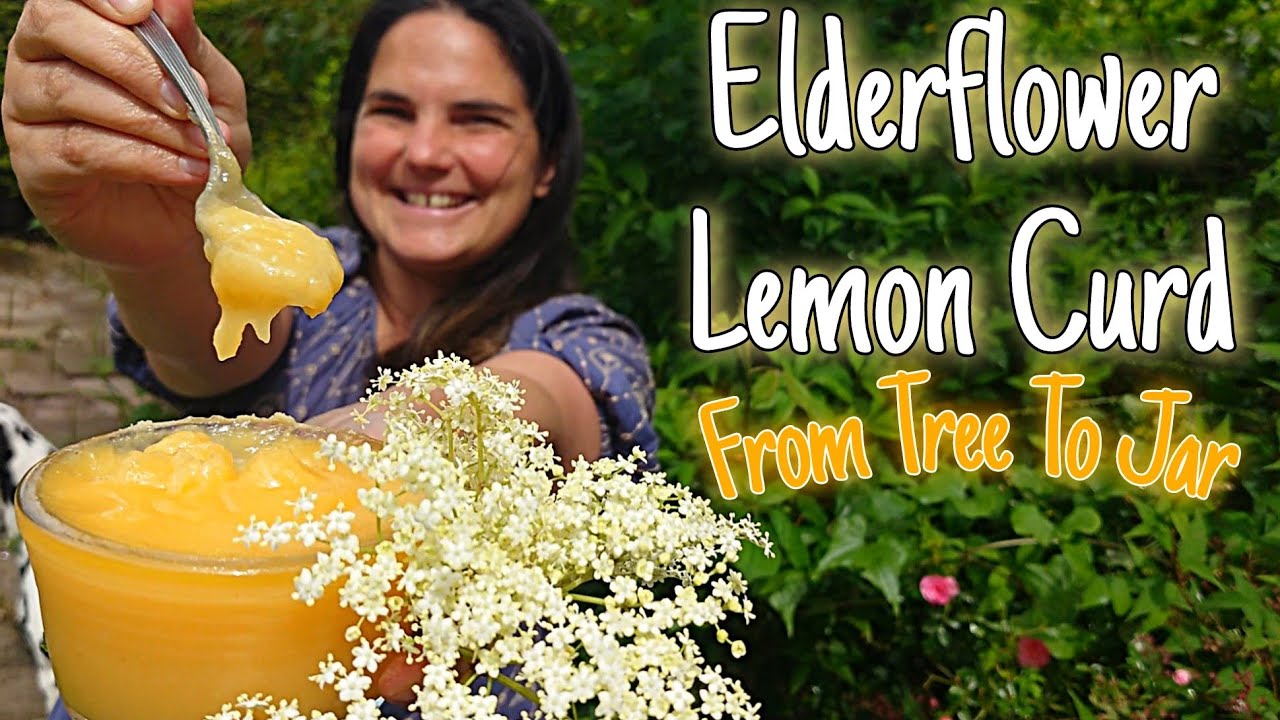 Elderflower Lemon Curd! From Tree To Jar 🌸🍋