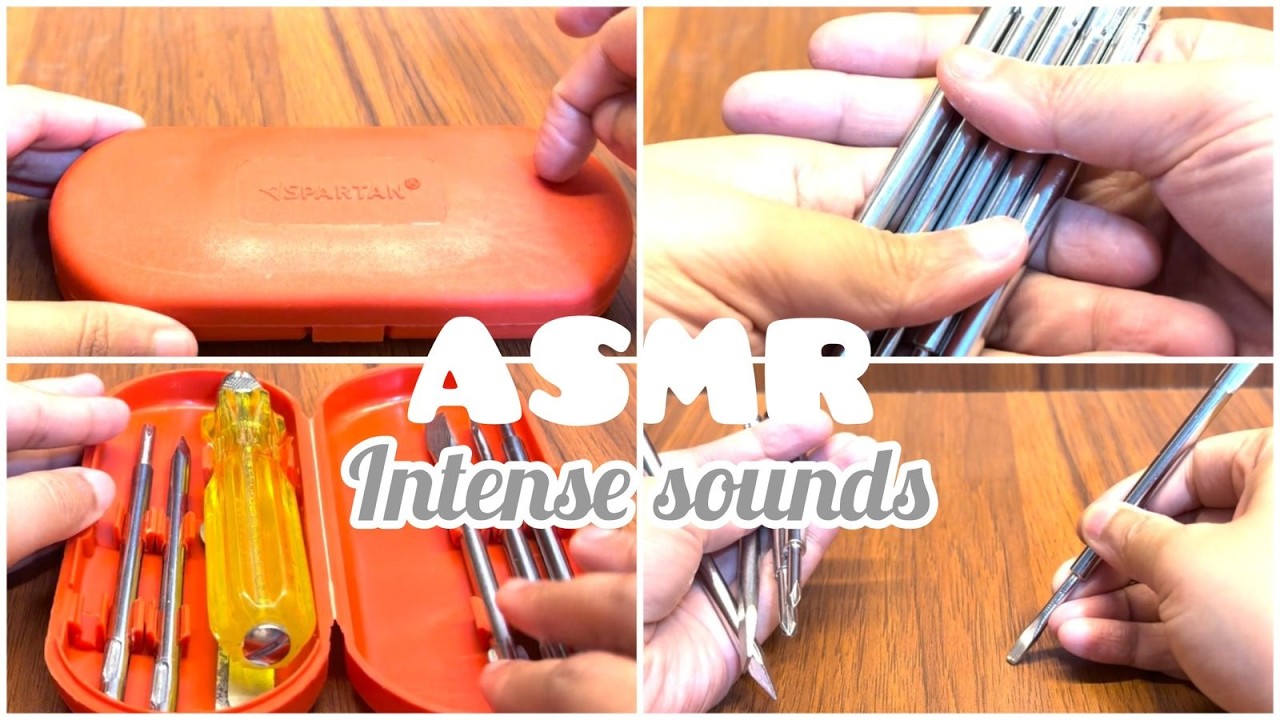 Satisfying Screwdriver Set ASMR 🔧✨ | Screws Scratching & Tapping Sounds