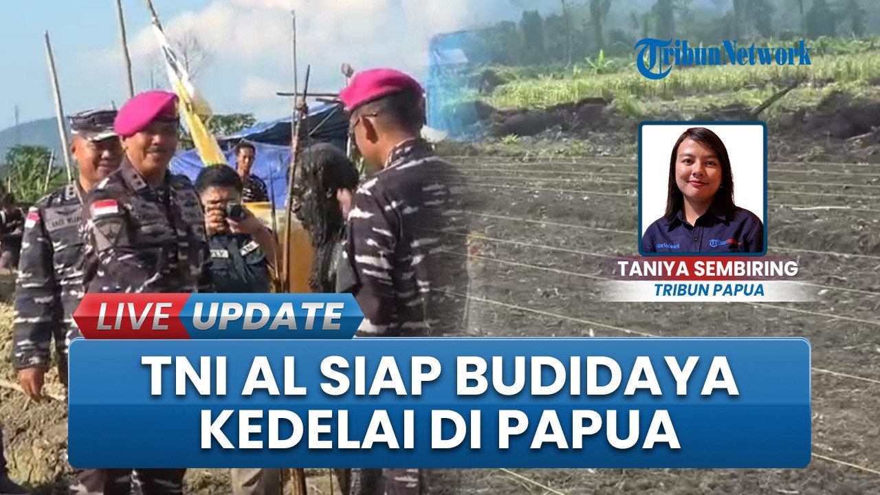 Upaya Dongkrak Ketahanan Pangan Nasional, TNI AL  Resmi Mulai Program Budidaya Kedelai di Papua