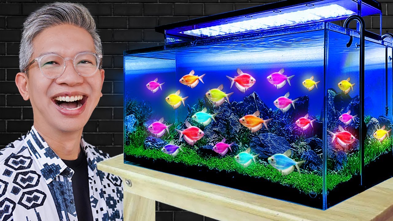 KASIH LUCKY IKAN NEON BISA NYALA!!