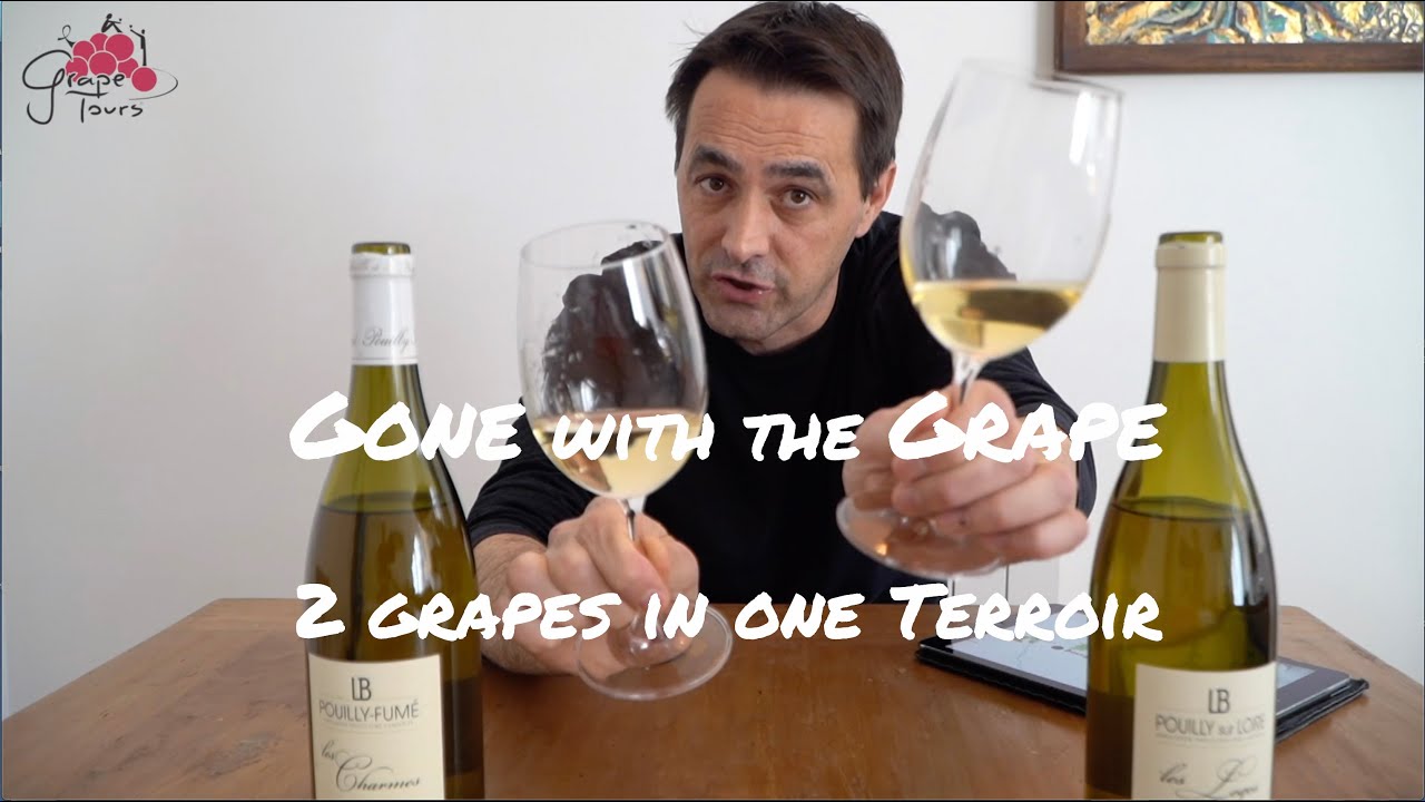 3. Gone with the Grape - in Pouilly-sur-Loire