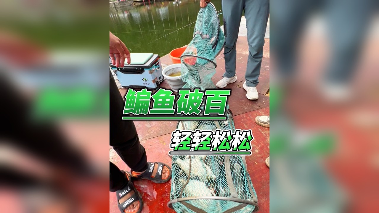 118的票这个渔获怎么样兄弟们？