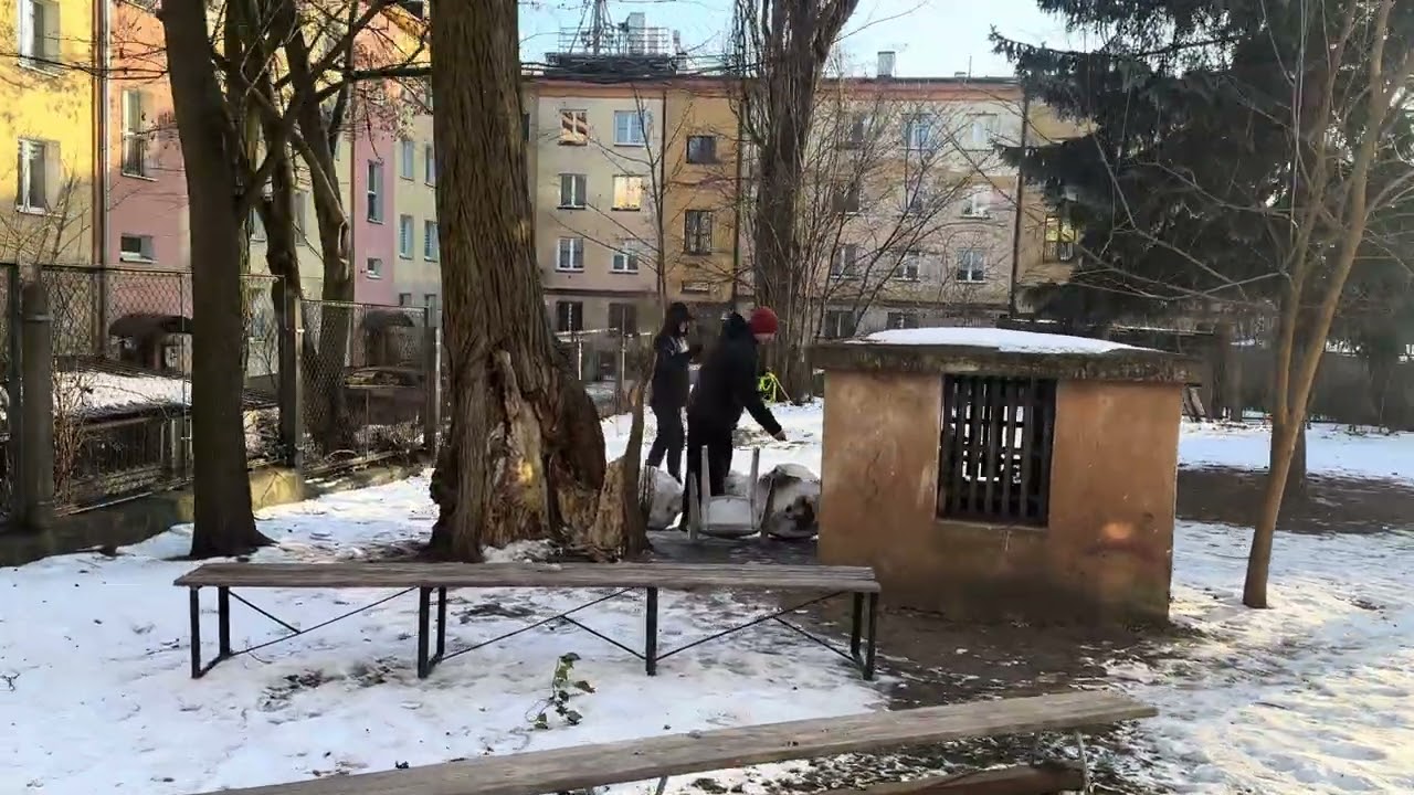 2026.01.31 Zawody Nosework Polska z Nosework Łódź, kl3 obszar, Doti