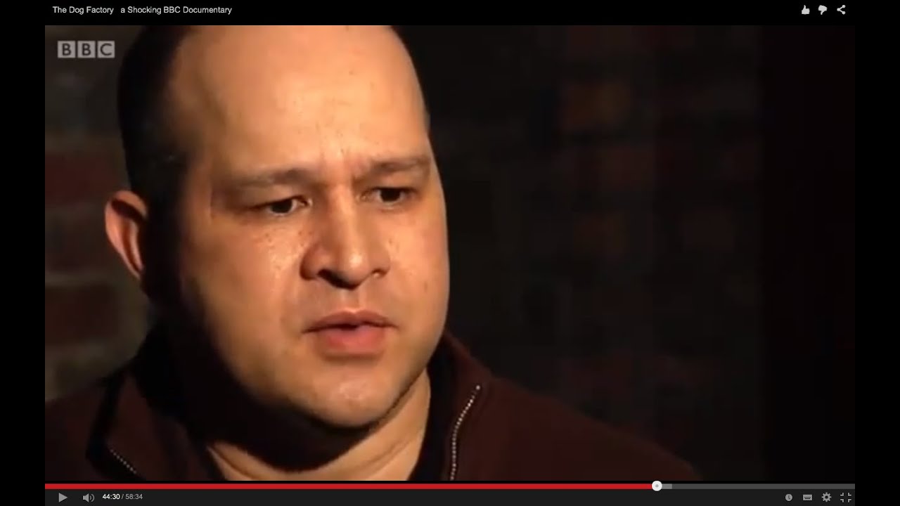 The Dog Factory   a Shocking BBC Documentary
