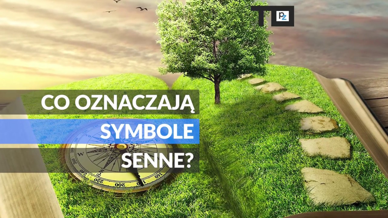 TO WIDEO. Co oznaczają symbole senne?