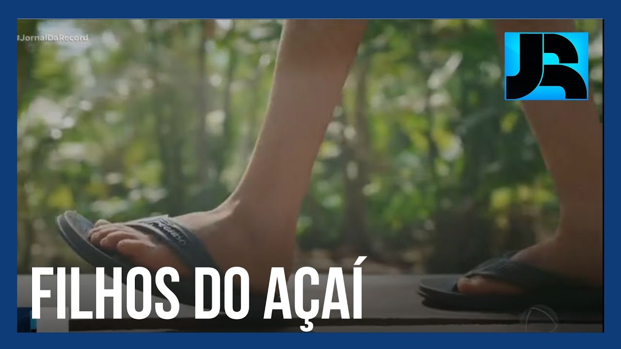 Filhos do Açaí, documentário do PlayPlus, mostra o trabalho infantil nas plantações do norte do país