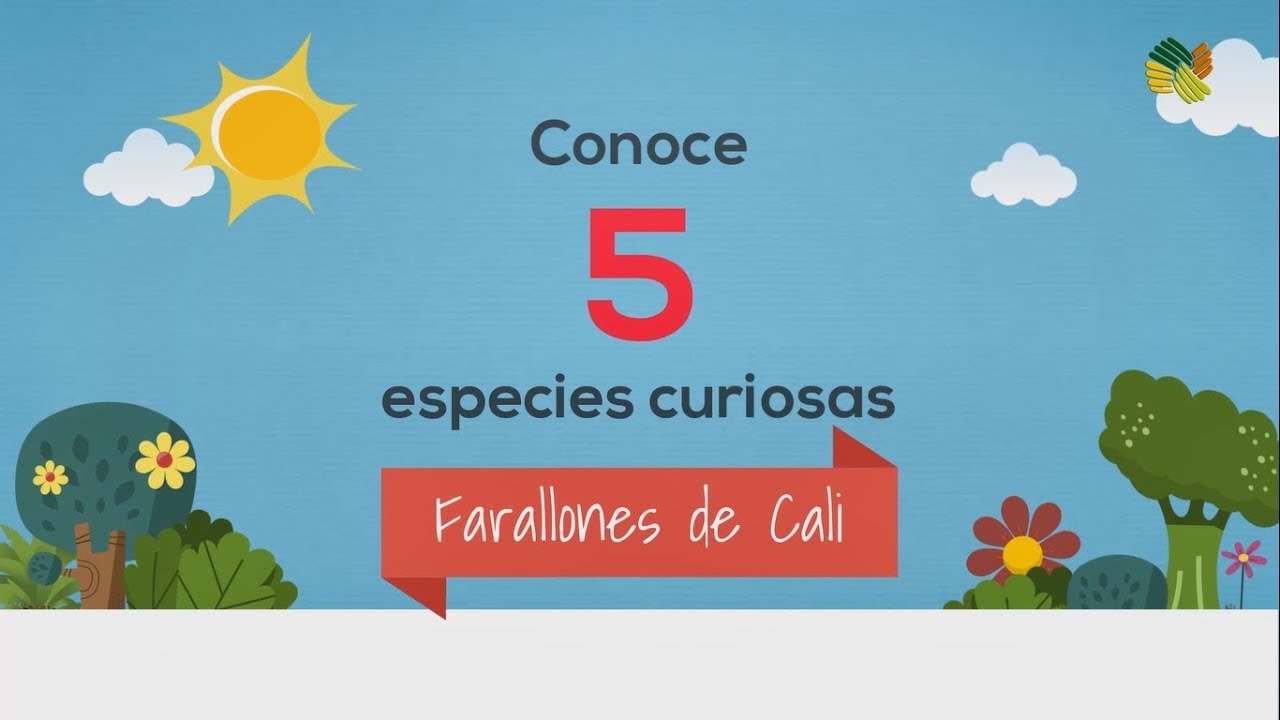 ¡Top 5 ANIMALES CURIOSOS de los Farallones de Cali!