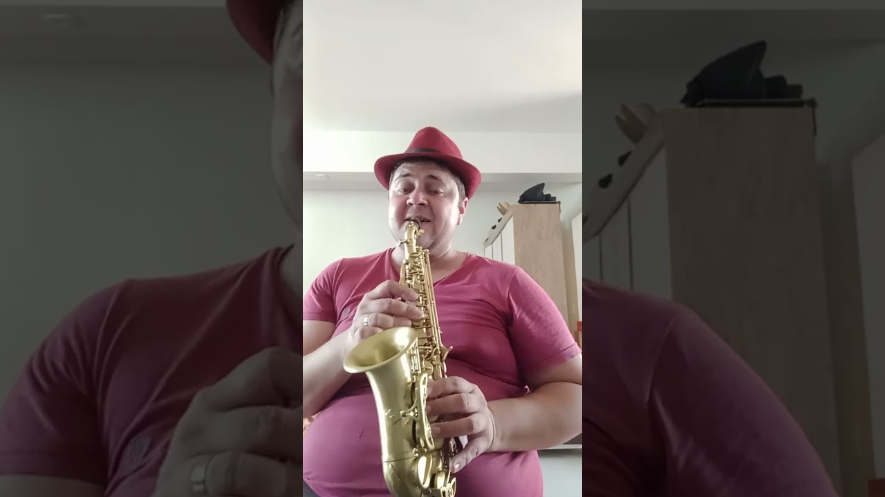 Sax Soprano Curvo Feito Deplacamento Escovado e Sapatilhamento Completo na DiskMan Music Store