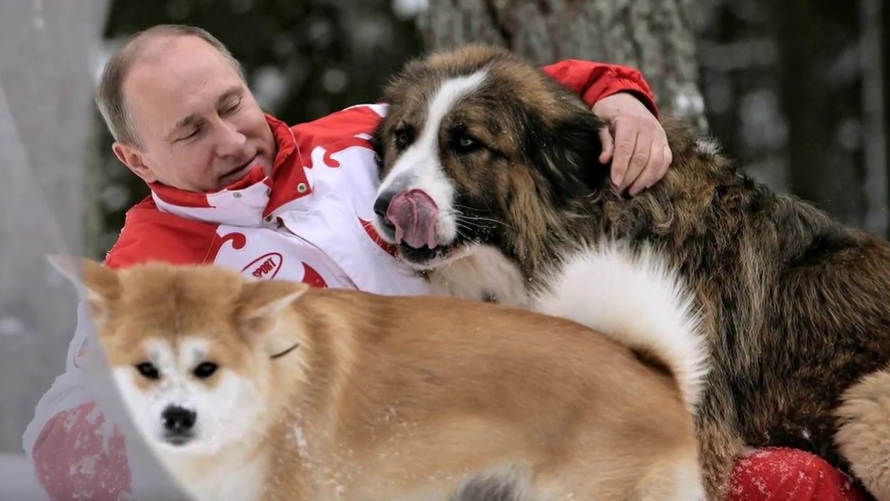 Любимая песня Путина 