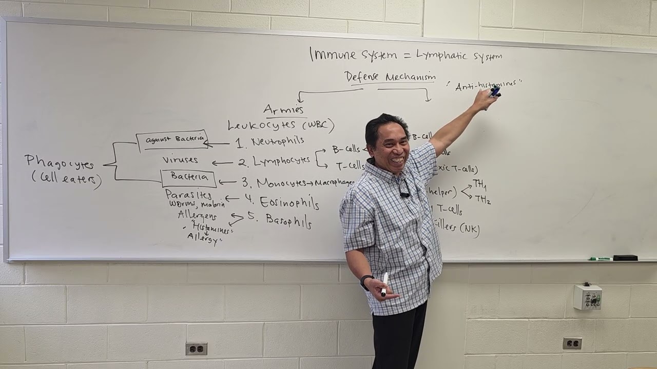 BMS  172 Fundamentals of Anatomy and Physiology II: Immune System 