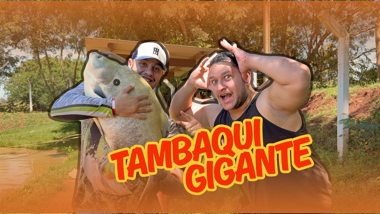 BIG FICOU ASSUSTADO COM TAMANHO DO TAMBAQUI!