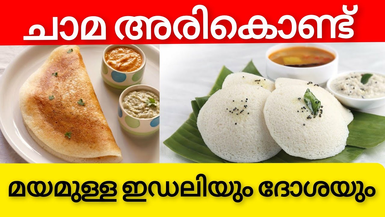 ഇഡ്ഡലി, ദോശ നല്ല ചൂട് തേങ്ങ ചമ്മന്തിയും. ചാമ അരി കൊണ്ടു. Dosa and Iddly from Chama rice.