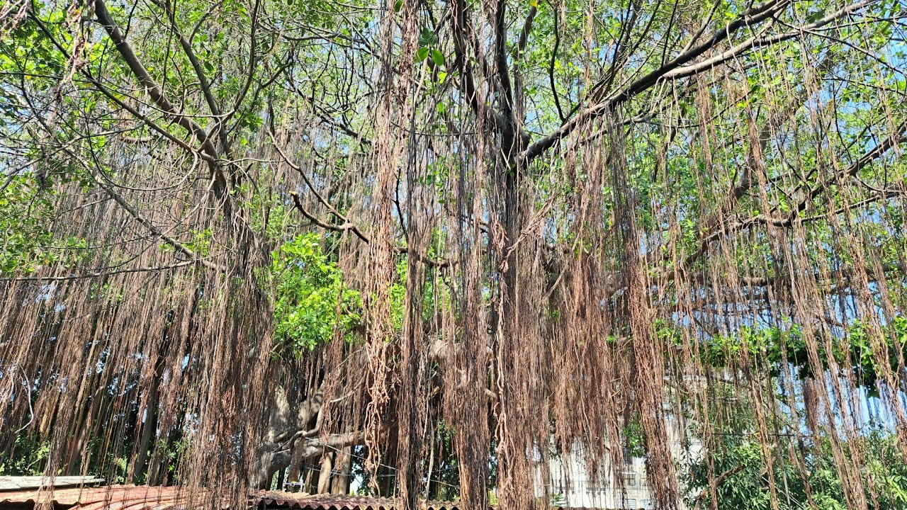 ปั่นสำรวจทางปูนย่านอ่อนนุช-พัฒนาการ