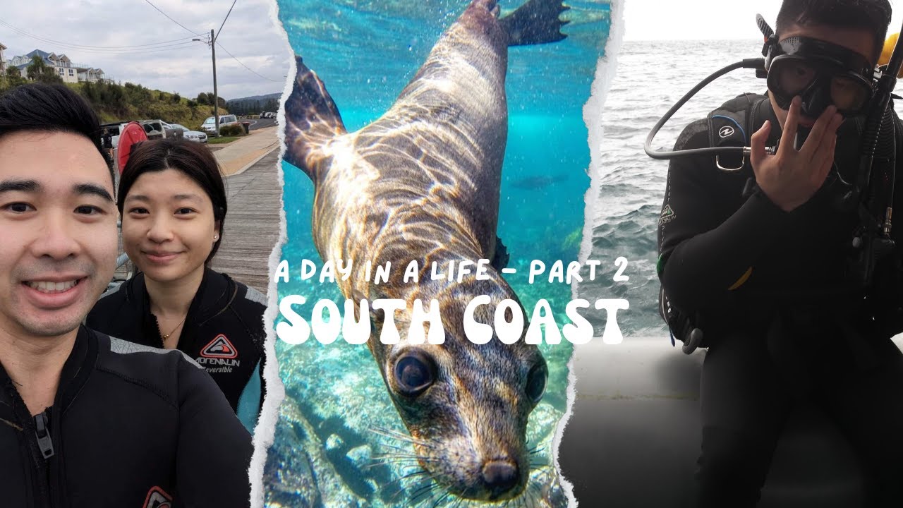A Day In My Life: South Coast NSW PT 2, Narooma, Swimming with Seals, Deep Diving & Coastal Walk ❤️