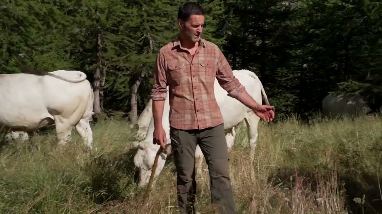 Inseguire l'erba - trailer