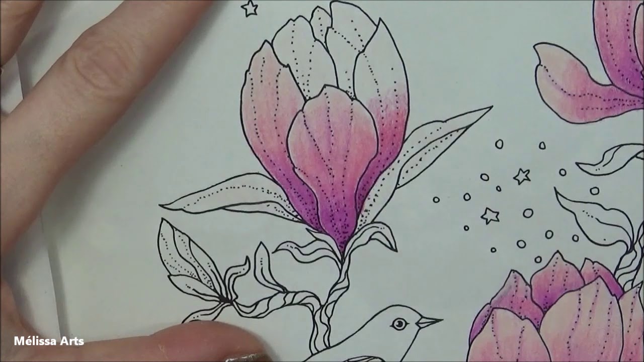 [ Coloriage ] Nightfall  Fleurs et oiseau partie 1 🐦🌺